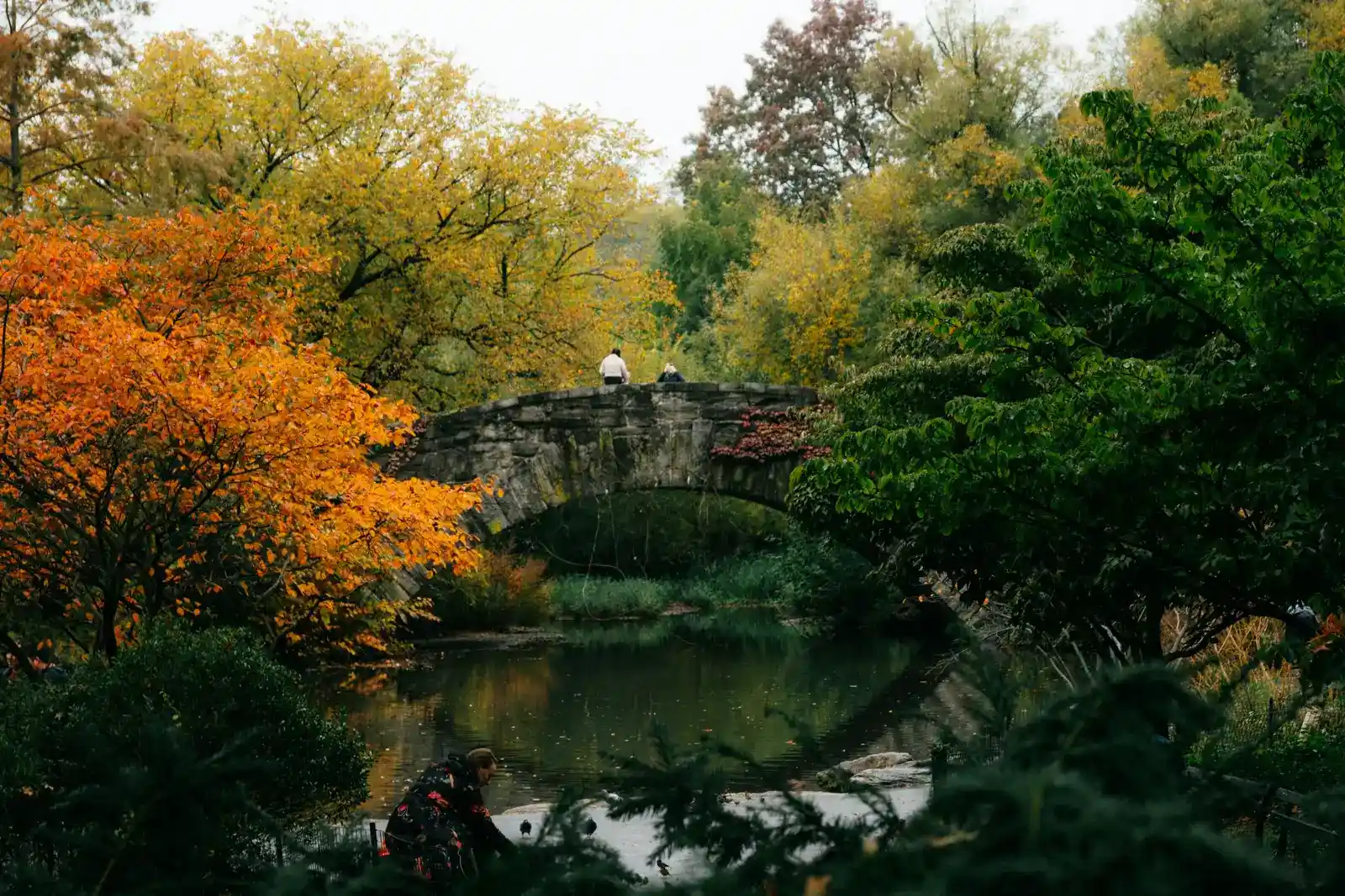 A stone bridge in Central Park with autumn trees behind it
