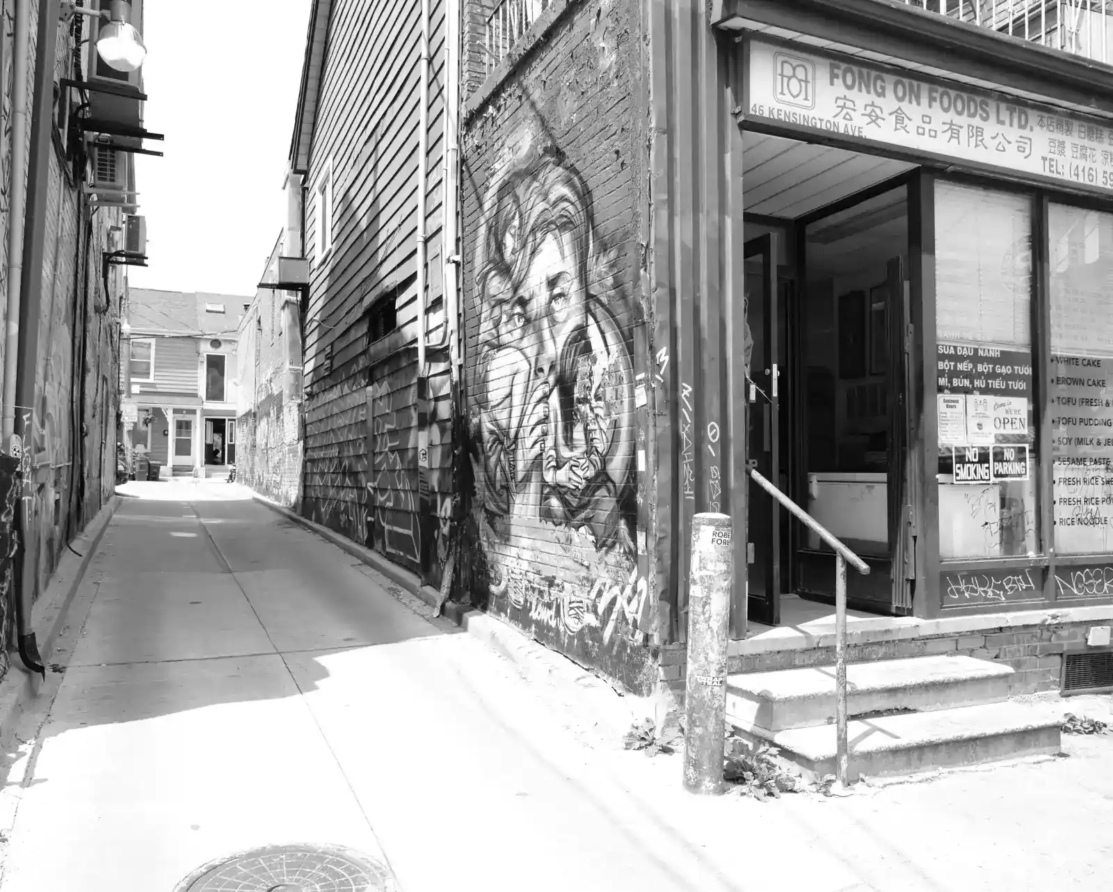 A painted laneway wall in downtown Toronto