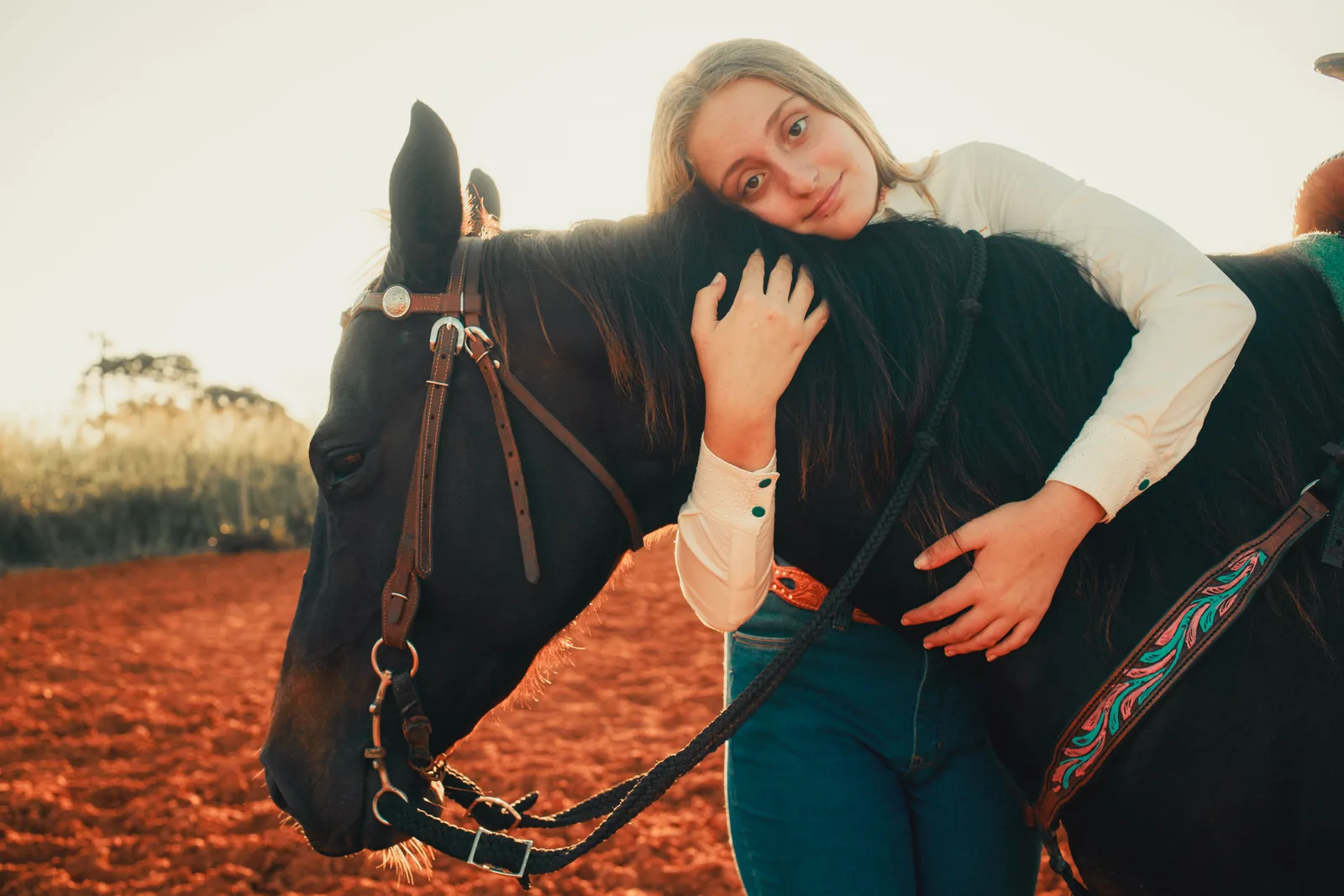 A young woman hugging her dark horse around the neck in a field at golden hour