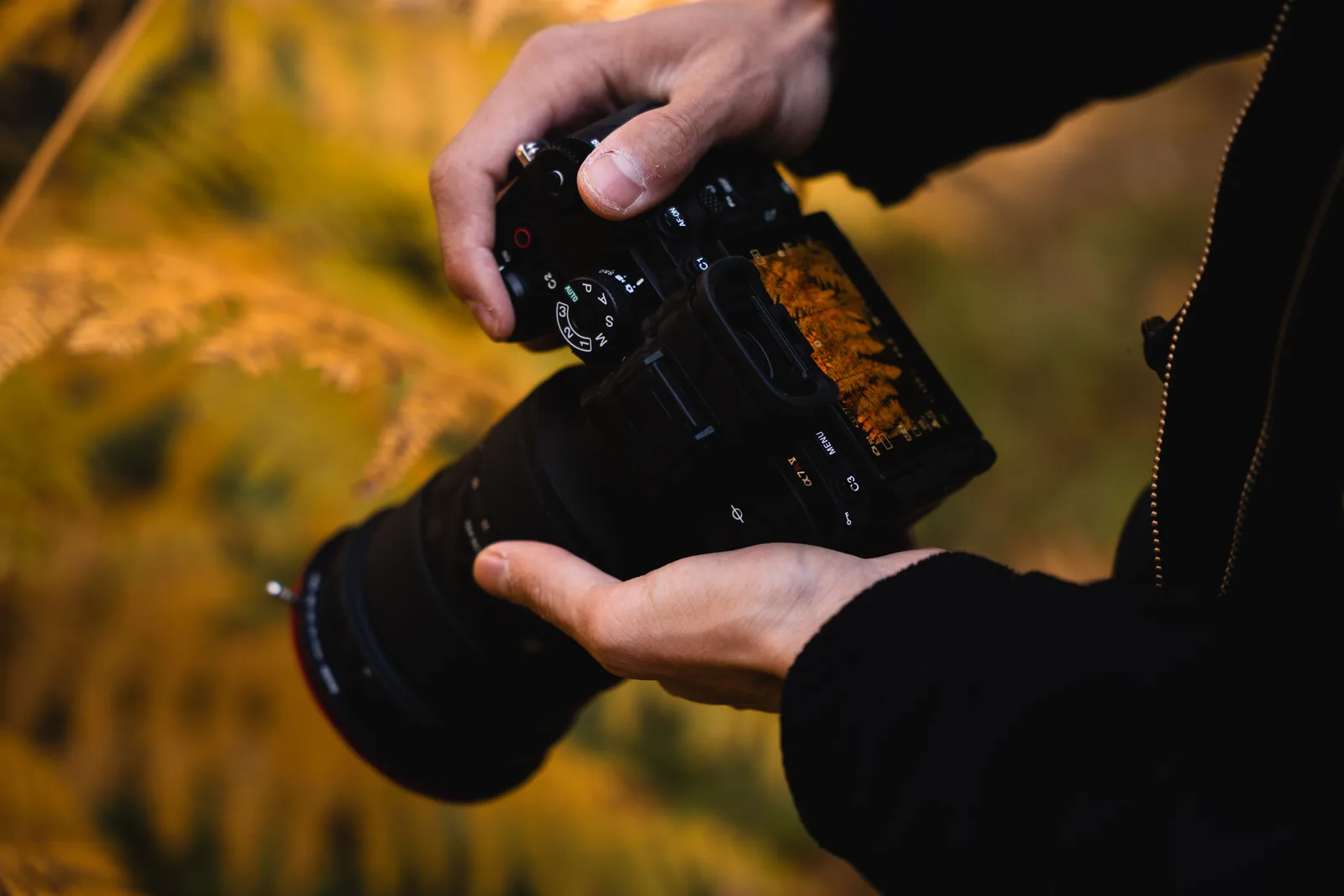 Hands holding a camera with a photo showing on its rear screen