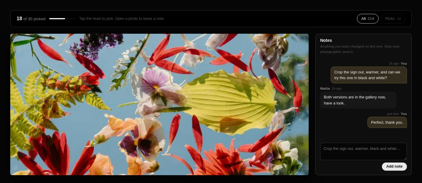 Picking and notes happen in the gallery your client already has the link to. The client view: a progress bar, hearts on the photos, and a notes thread beside the photo