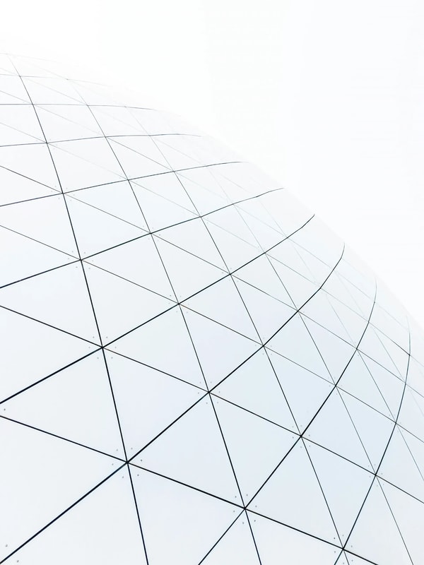 Curved glass and steel grid of a domed roof against a white sky