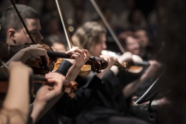 A string quartet playing, violin bows sharp in the foreground and the ensemble soft behind