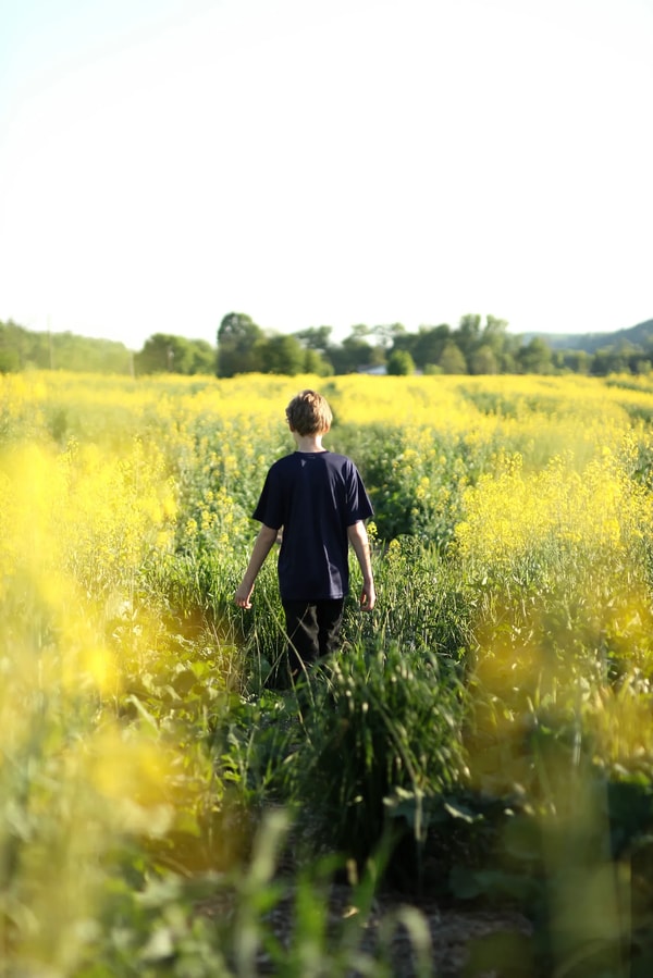 Boy walking away through a field of yellow flowers