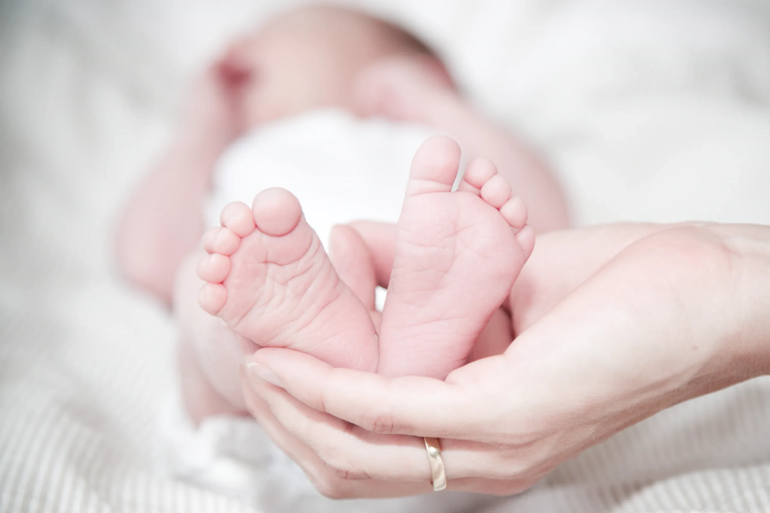 Newborn feet held in a mother’s cupped hands on white bedding