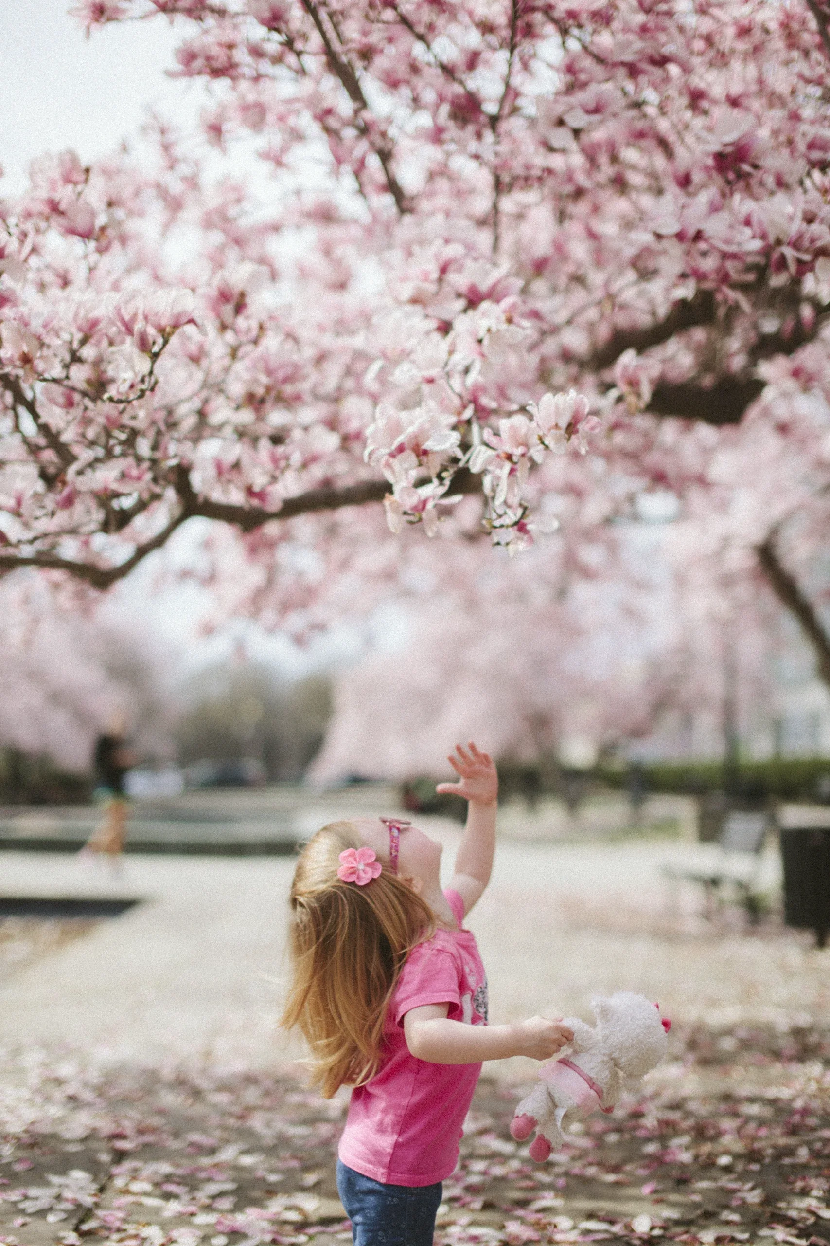 Little girl reaching for cherry blossom in a park