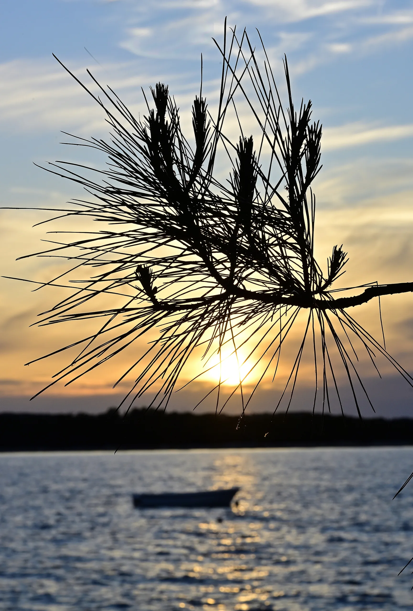 Kroatien 2026 - photography by Günter Pfannenstein