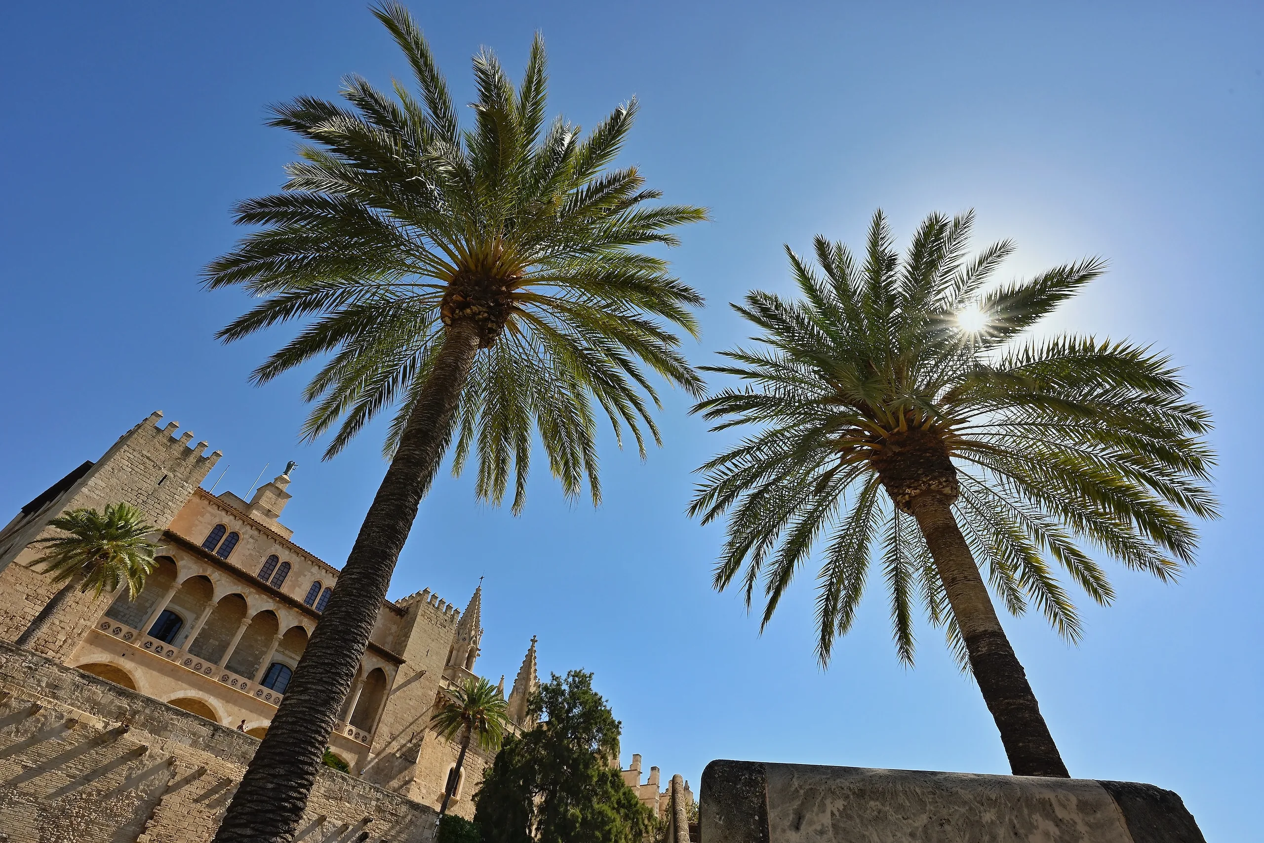Mallorca 2025 - photography by Günter Pfannenstein