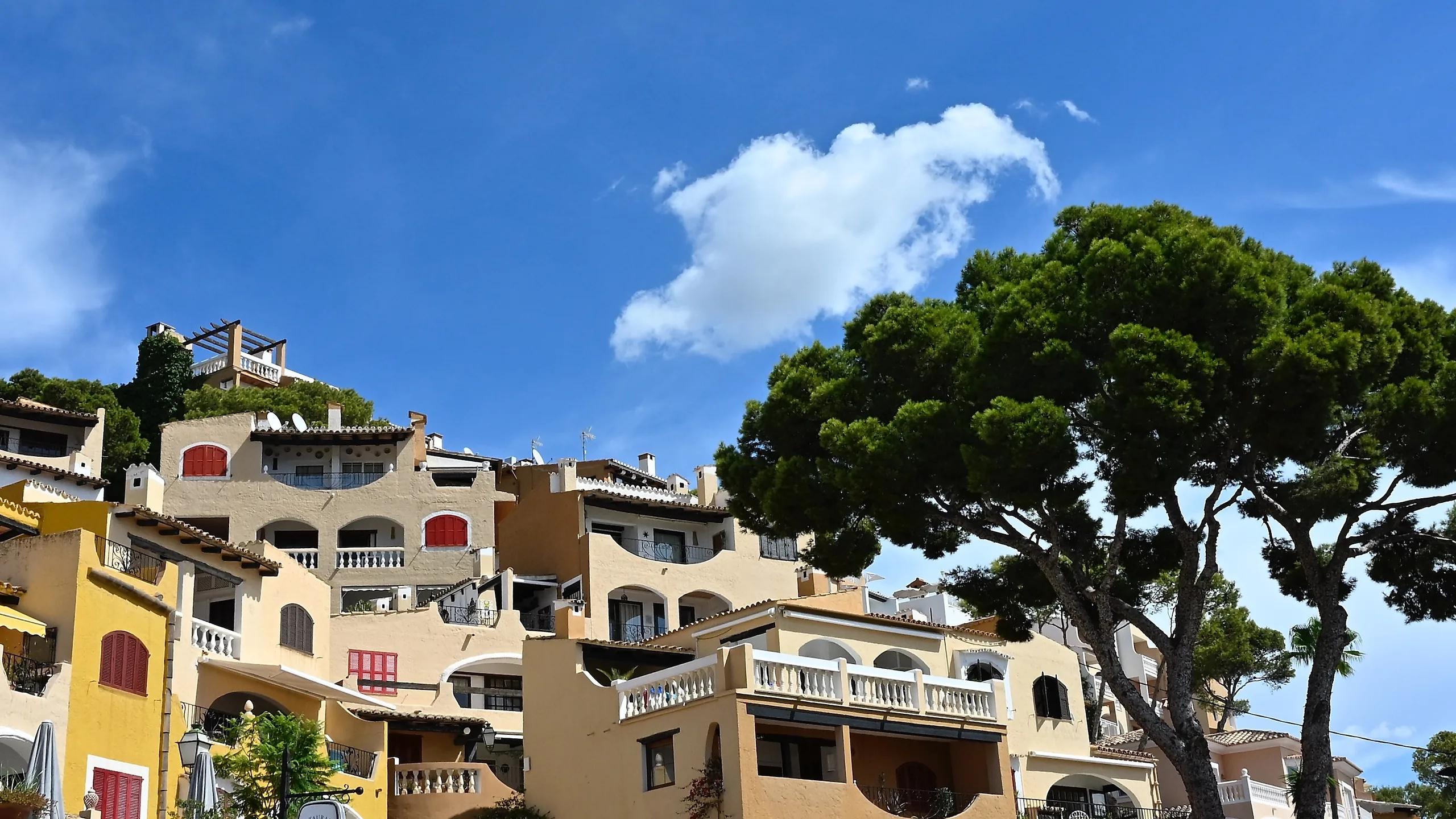 Mallorca 2025 - photography by Günter Pfannenstein