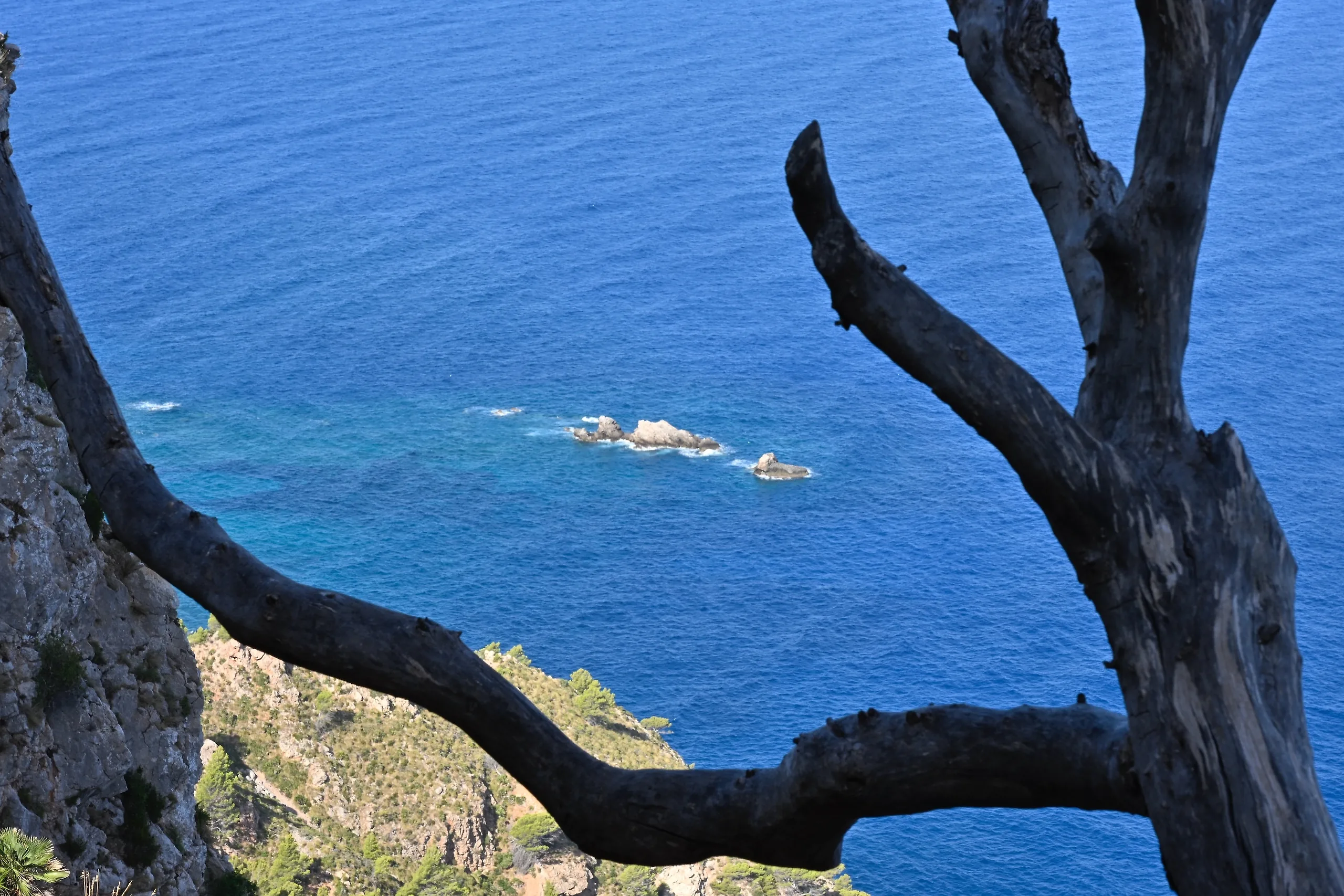 Mallorca 2025 - photography by Günter Pfannenstein