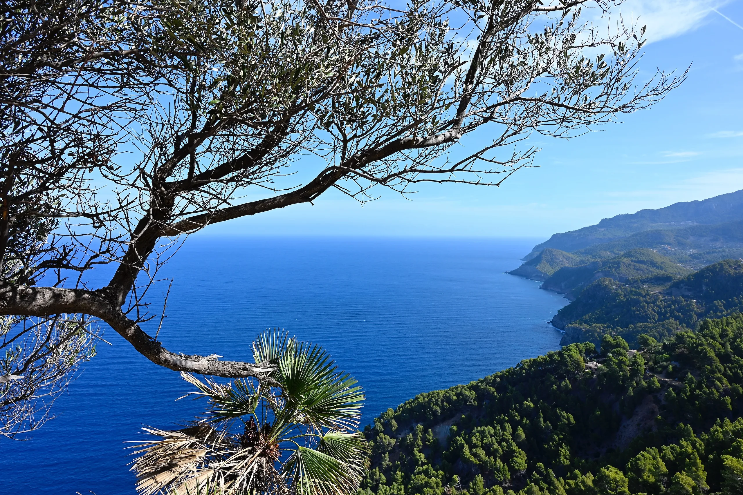 Mallorca 2025 - photography by Günter Pfannenstein