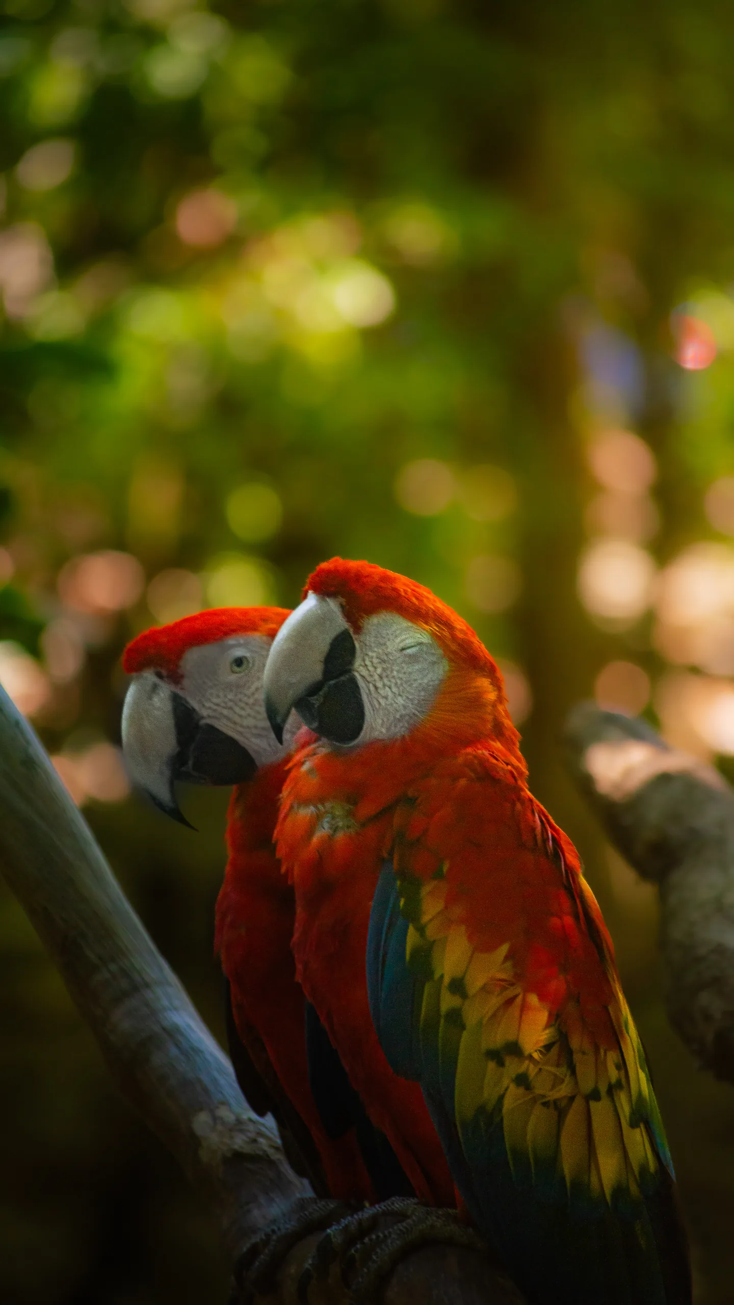 Photograph by Mattia Punjwani
