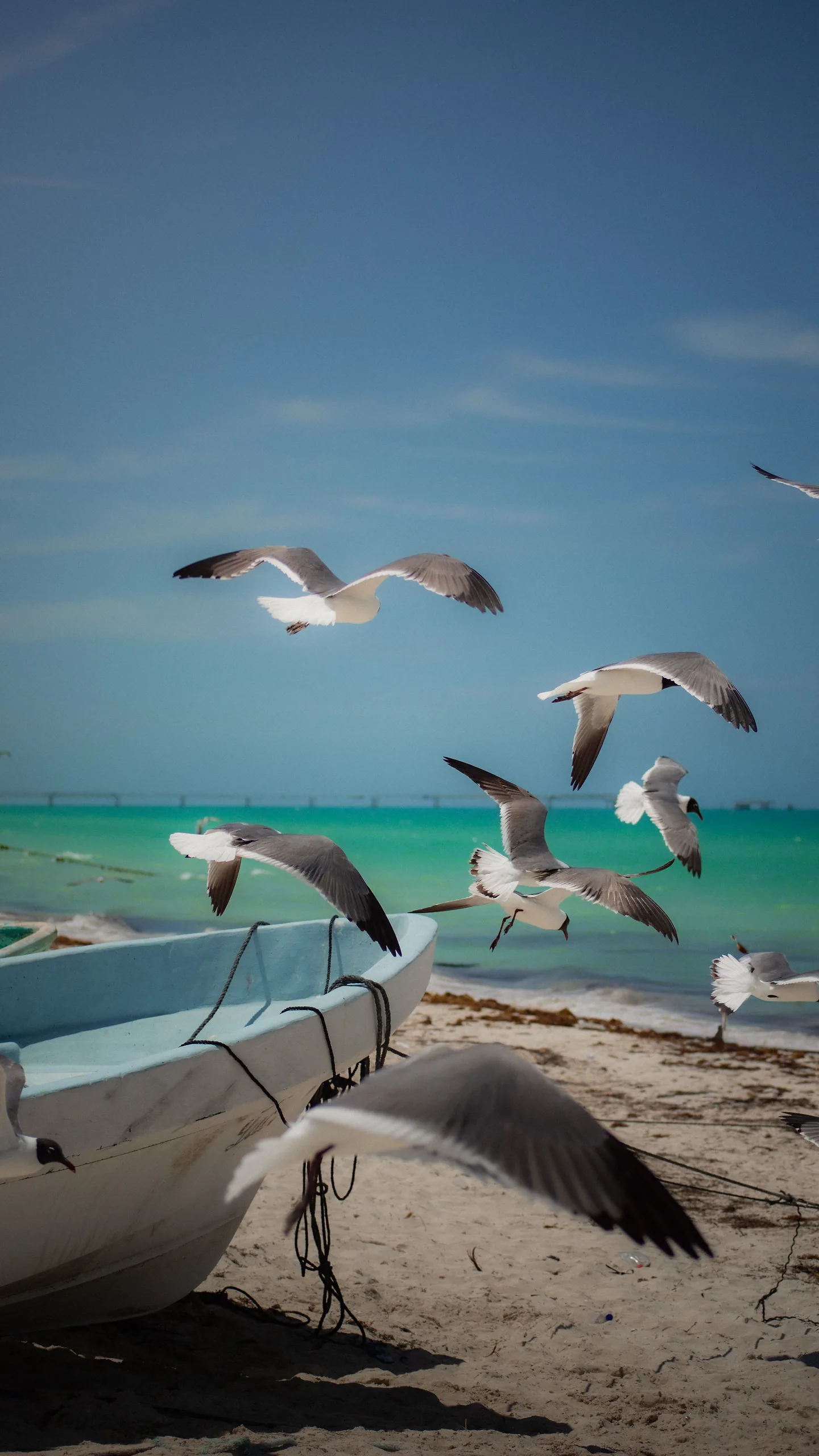 Photograph by Mattia Punjwani