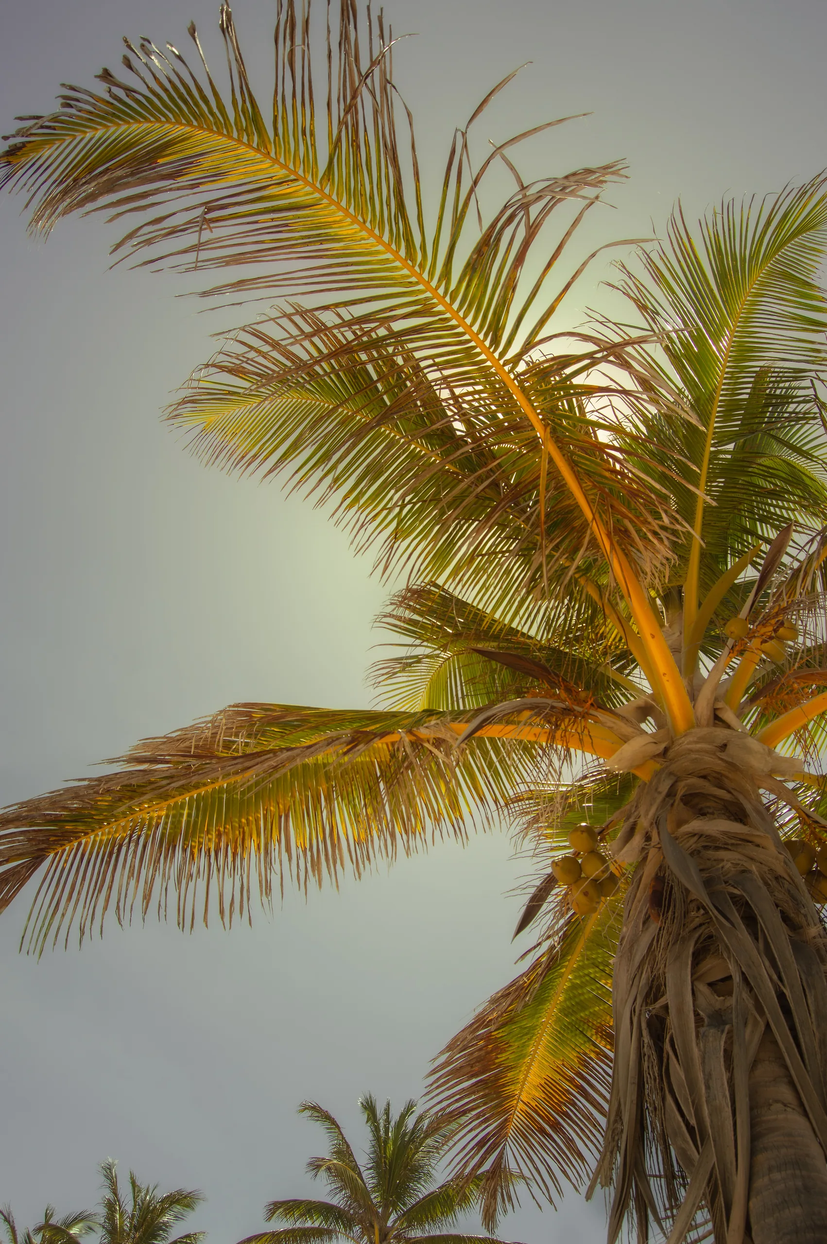 Photograph by Mattia Punjwani