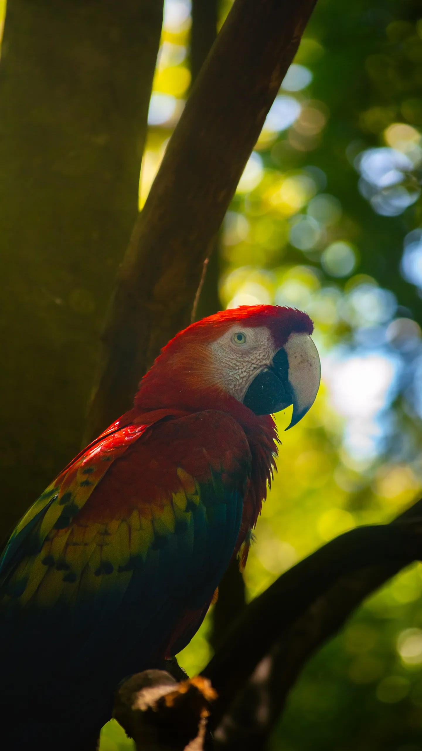 Photograph by Mattia Punjwani