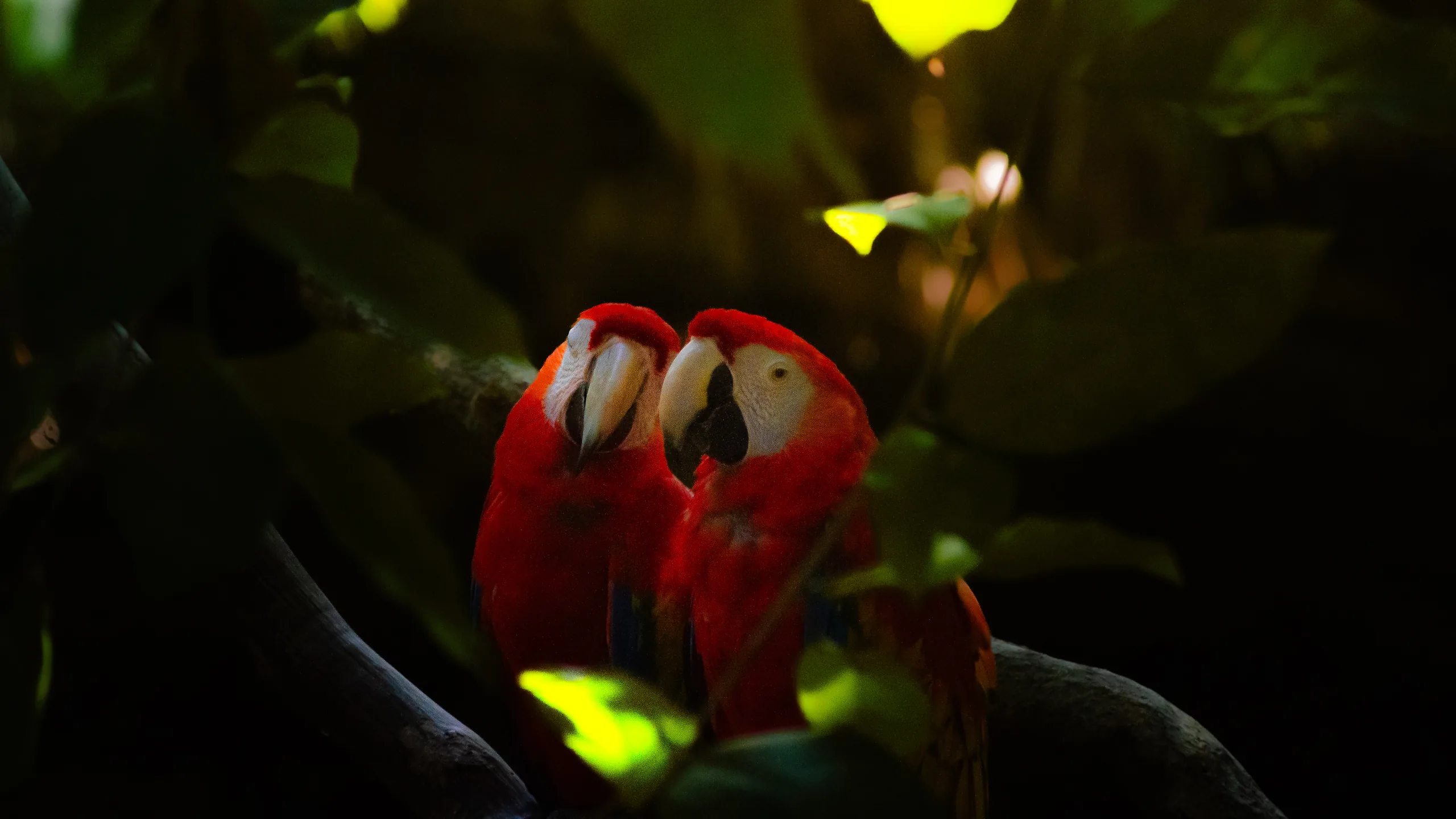 Photograph by Mattia Punjwani