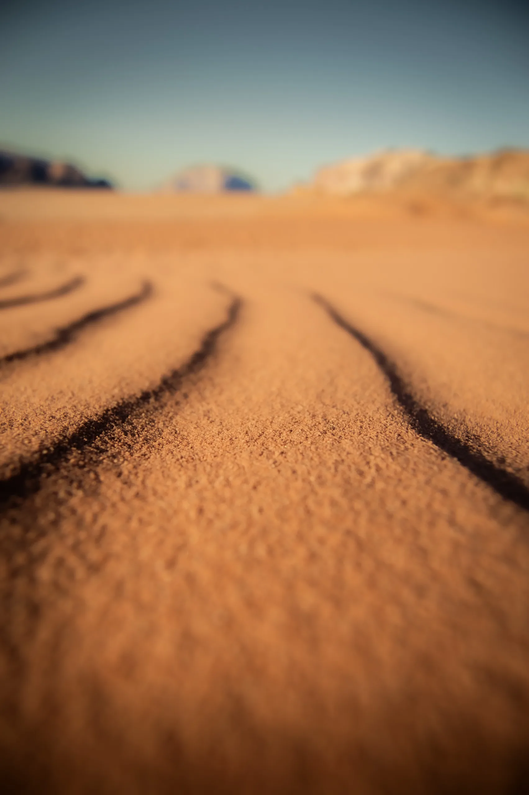 2025 - Jordan - photography by Mattia Punjwani