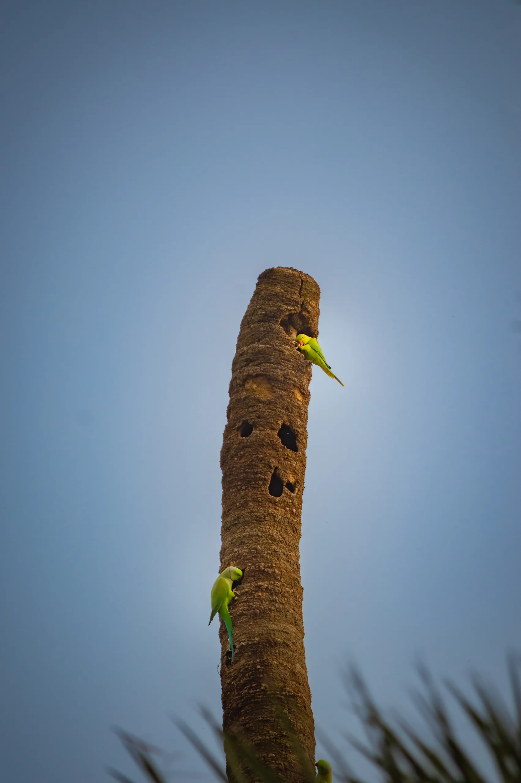 Photograph by Mattia Punjwani