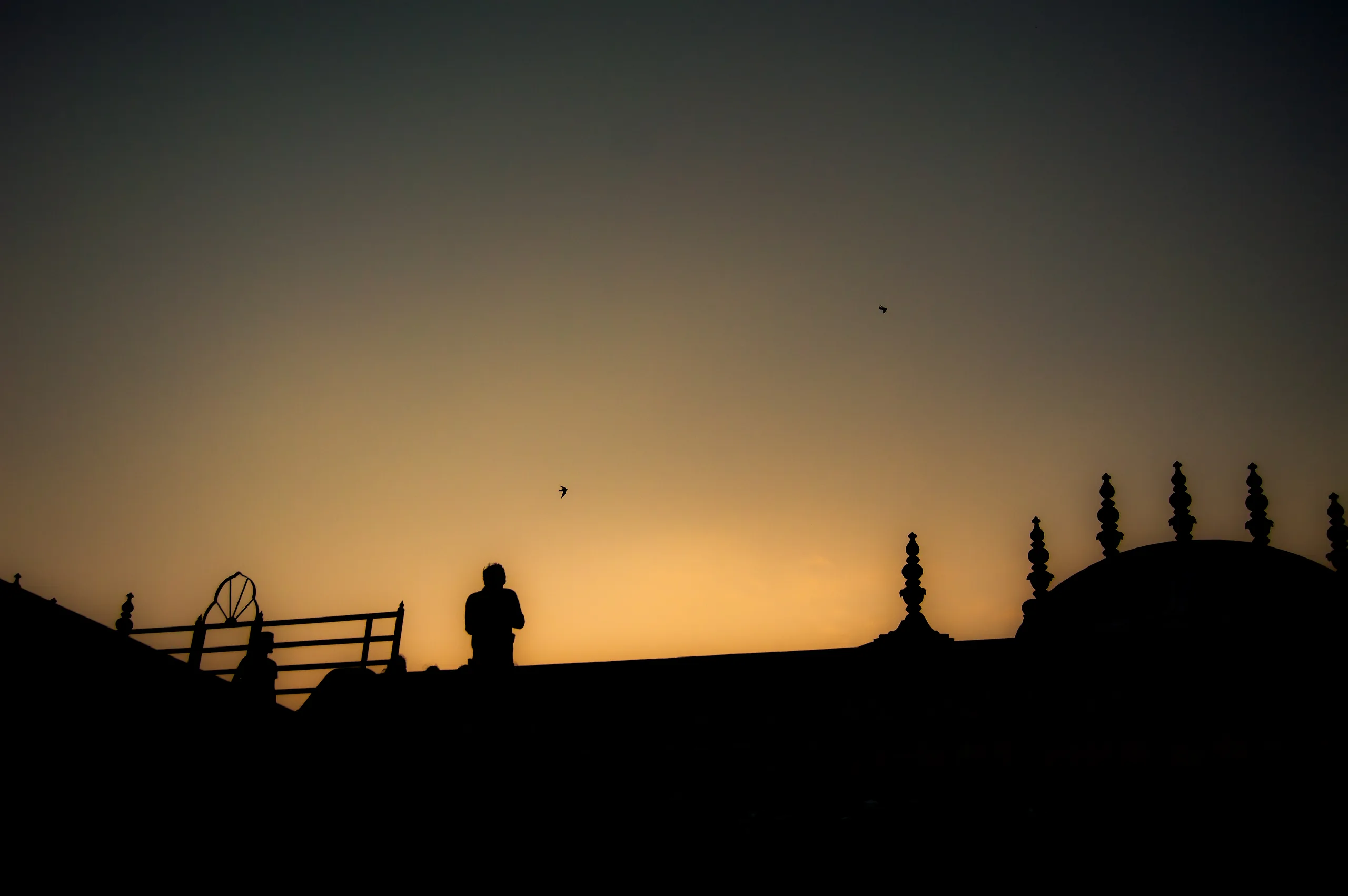 2025 - India - photography by Mattia Punjwani